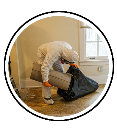 Cleaning & Restoration Services