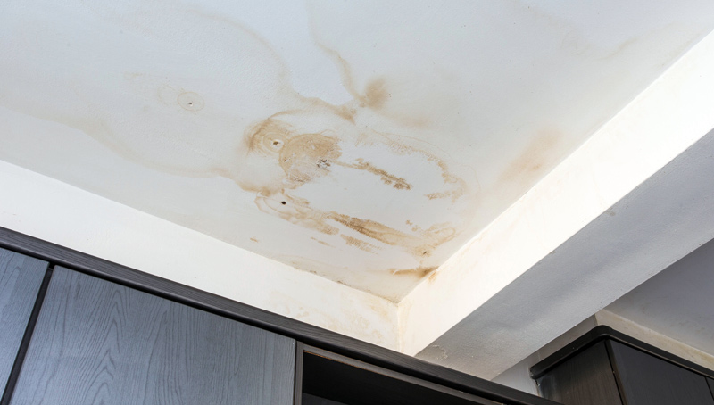 Important Steps You Should Take After Finding Water Damage in Your Home